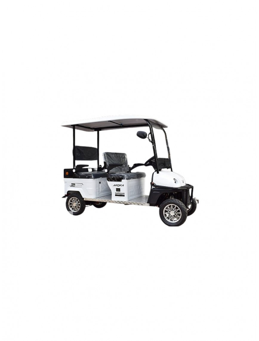 Polo Plus Golf Aracı