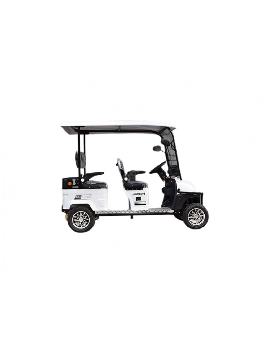 Polo Plus Golf Aracı